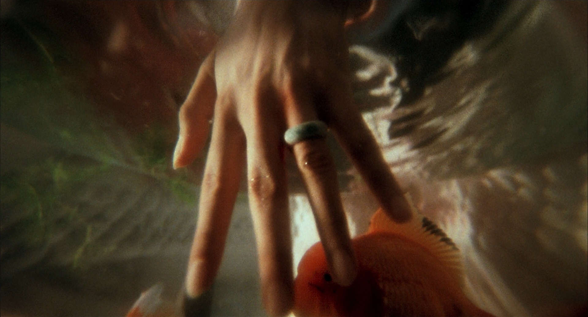 Cada-momento-que-te-vi